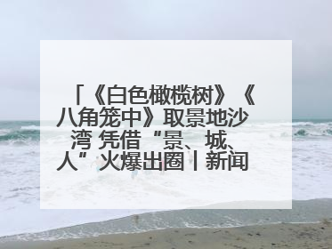 《白色橄榄树》《八角笼中》取景地沙湾 凭借“景、城、人”火爆出圈丨新闻发布最前线