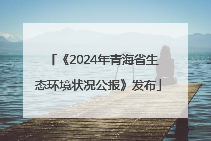 《2024年青海省生态环境状况公报》发布