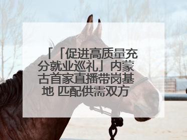 「促进高质量充分就业巡礼」内蒙古首家直播带岗基地 匹配供需双方 促进上岗就业