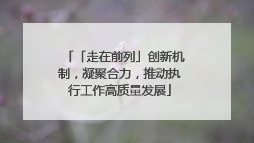 「走在前列」创新机制，凝聚合力，推动执行工作高质量发展
