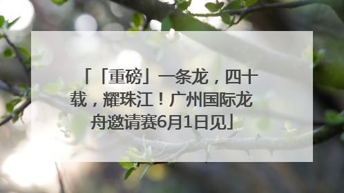 「重磅」一条龙，四十载，耀珠江！广州国际龙舟邀请赛6月1日见