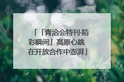 「青洽会特刊·精彩瞬间」高原心跳 在开放合作中澎湃