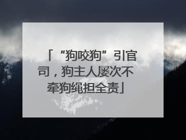 “狗咬狗”引官司，狗主人屡次不牵狗绳担全责