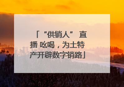 “供销人” 直播 吆喝，为土特产开辟数字销路