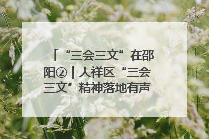 “三会三文”在邵阳②｜大祥区“三会三文”精神落地有声 以实干实绩助力区域高质量发展