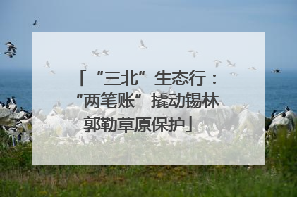 “三北”生态行：“两笔账”撬动锡林郭勒草原保护