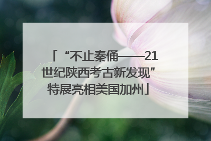 “不止秦俑——21世纪陕西考古新发现”特展亮相美国加州