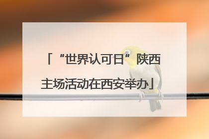 “世界认可日”陕西主场活动在西安举办