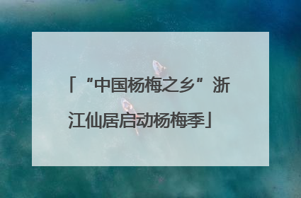 “中国杨梅之乡”浙江仙居启动杨梅季