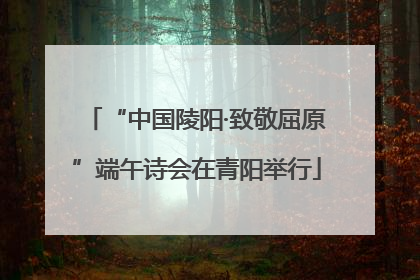 “中国陵阳·致敬屈原”端午诗会在青阳举行