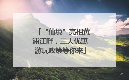 “仙境”亮相黄浦江畔，三大优惠游玩政策等你来