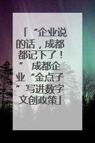 “企业说的话，成都都记下了！” 成都企业“金点子”写进数字文创政策