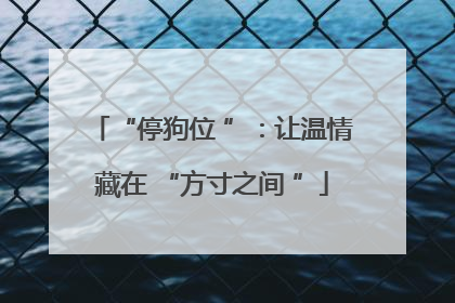 “停狗位 ”：让温情藏在 “方寸之间 ”