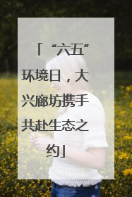 “六五”环境日，大兴廊坊携手共赴生态之约