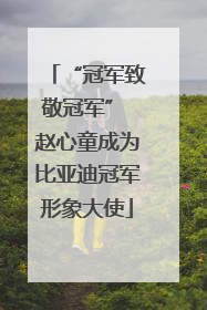 “冠军致敬冠军” 赵心童成为比亚迪冠军形象大使