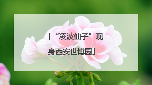 “凌波仙子”现身西安世博园