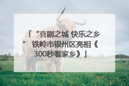 “喜剧之城 快乐之乡” 铁岭市银州区亮相《300秒看家乡》