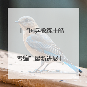 “国乒教练王皓考编”最新进展