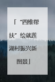 “四维帮扶”绘就莲湖村振兴新图景
