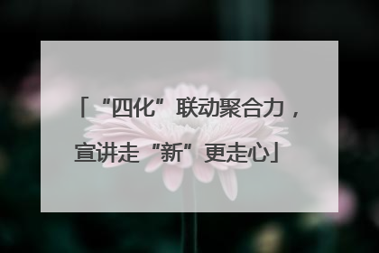 “四化”联动聚合力，宣讲走“新”更走心