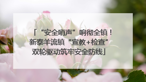 “安全哨声”响彻全镇！新泰羊流镇“宣教+检查”双轮驱动筑牢安全防线