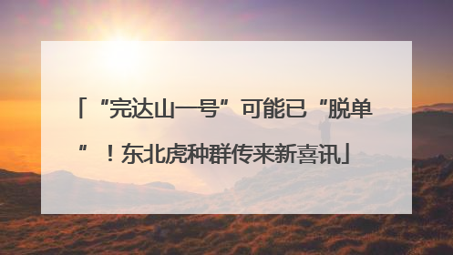 “完达山一号”可能已“脱单”！东北虎种群传来新喜讯