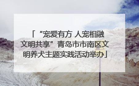 “宠爱有方 人宠相融 文明共享”青岛市市南区文明养犬主题实践活动举办