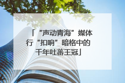 “声动青海”媒体行“扣响”暗格中的千年吐蕃王冠