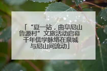 “夏一站，曲阜尼山鲁源村”文旅活动启幕 千年儒学脉络在泉城与尼山间流动