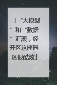 “大模型”和“数据”汇聚，经开区这座园区很酷炫