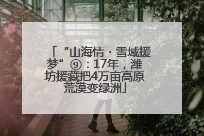 “山海情・雪域援梦”⑨：17年，潍坊援藏把4万亩高原荒漠变绿洲