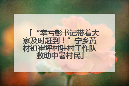 “幸亏彭书记带着大家及时赶到！”宁乡黄材镇崔坪村驻村工作队救助中暑村民