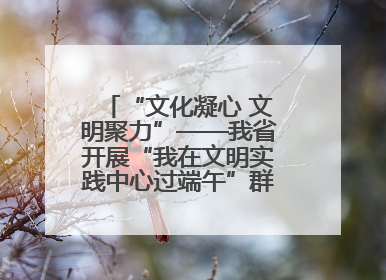 “文化凝心 文明聚力”——我省开展“我在文明实践中心过端午”群众主题活动