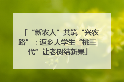 “新农人”共筑“兴农路”：返乡大学生“桃三代”让老树结新果