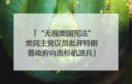 “无视美国宪法” 美民主党议员批评特朗普政府向洛杉矶派兵