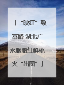 “映红”致富路 湖北广水胭脂红鲜桃火“出圈”