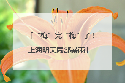 “梅”完“梅”了！上海明天局部暴雨