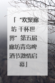 “欢聚廊坊 干杯世界”第五届廊坊青岛啤酒节激情启幕