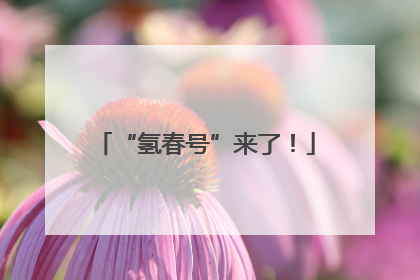 “氢春号”来了！
