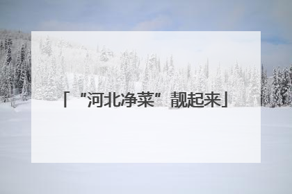 “河北净菜”靓起来