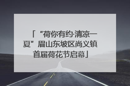 “荷你有约·清凉一夏”眉山东坡区尚义镇首届荷花节启幕