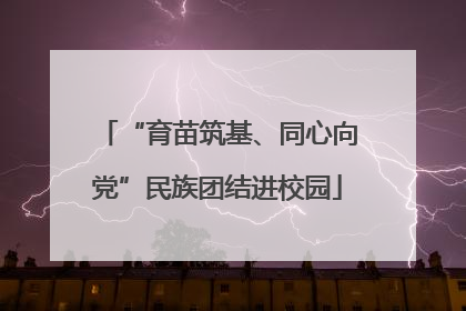 “育苗筑基、同心向党”民族团结进校园