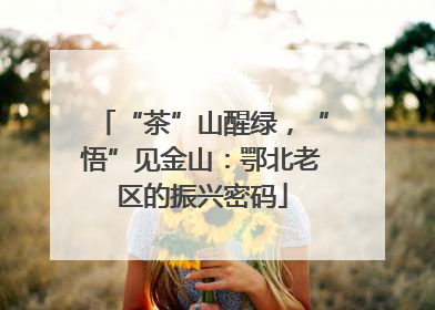 “茶”山醒绿，“悟”见金山：鄂北老区的振兴密码