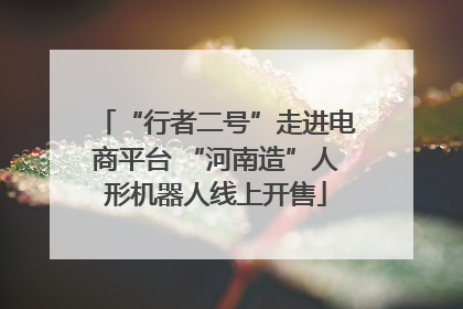 “行者二号”走进电商平台 “河南造”人形机器人线上开售