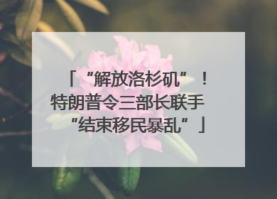 “解放洛杉矶”！特朗普令三部长联手“结束移民暴乱”