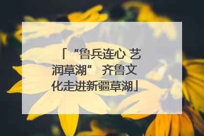 “鲁兵连心 艺润草湖” 齐鲁文化走进新疆草湖