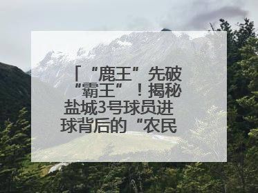 “鹿王”先破“霸王”！揭秘盐城3号球员进球背后的“农民街游侠”联盟