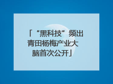 “黑科技”频出 青田杨梅产业大脑首次公开