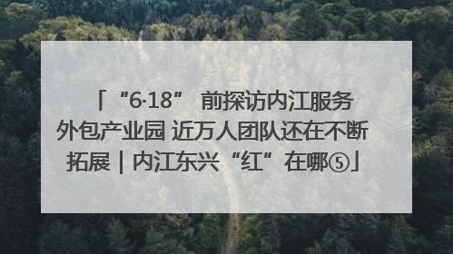 “6·18” 前探访内江服务外包产业园 近万人团队还在不断拓展｜内江东兴“红”在哪⑤