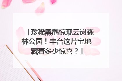 珍稀黑鹳惊现云岗森林公园！丰台这片宝地藏着多少惊喜？